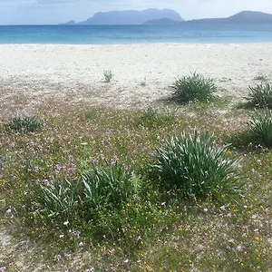 Casa vacanze Maestrale, Olbia